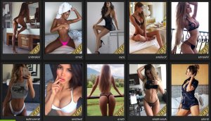Afrah adult escorts in Selby
